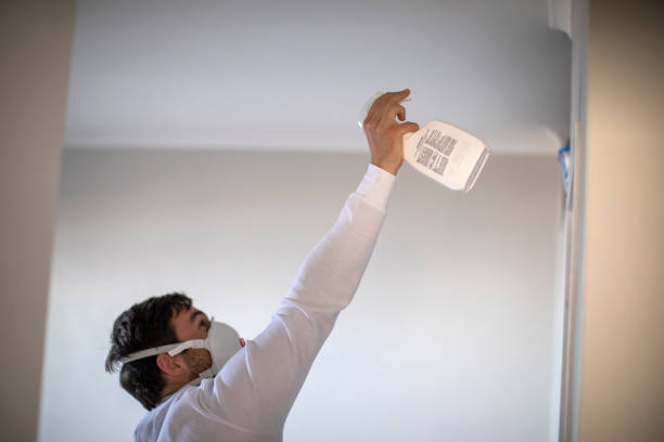 Best Residential Mold Remediation in Mount Morris, IL
